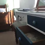 Damson 凯西克