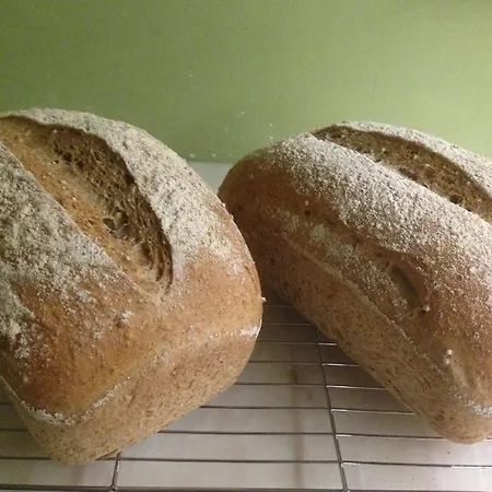 Damson לינה וארוחת בוקר 4*