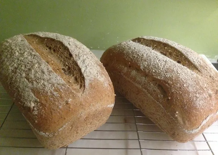 Damson לינה וארוחת בוקר 4*